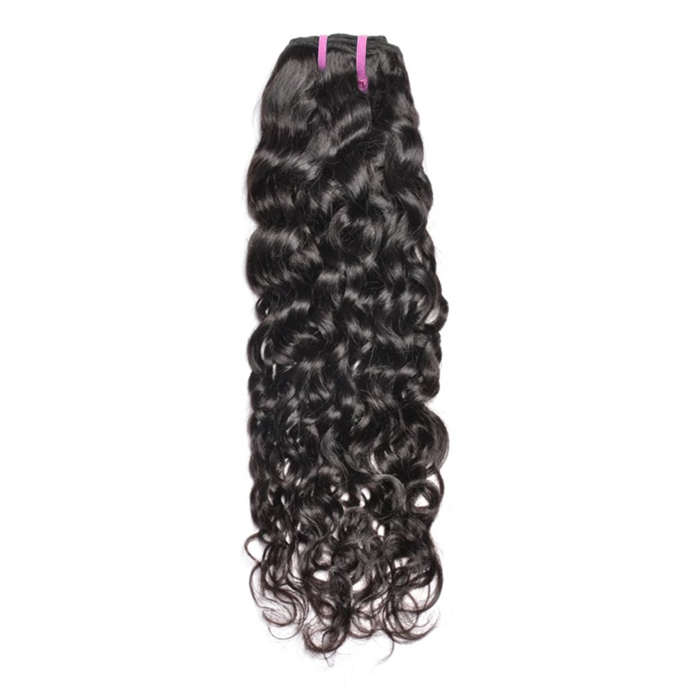 Burmese Curl